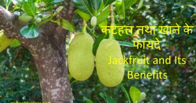 कटहल तथा खाने के फायदे | Jackfruit and Its Benefits