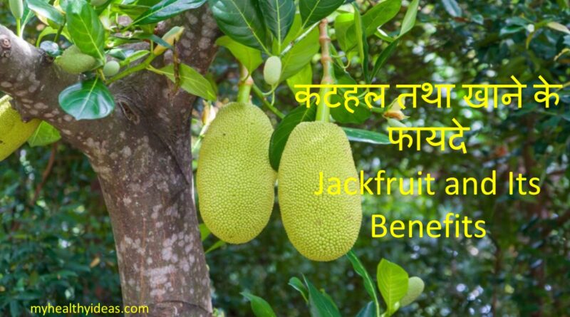 कटहल तथा खाने के फायदे | Jackfruit and Its Benefits